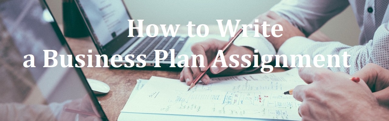 How to Write a Business Plan Assignment