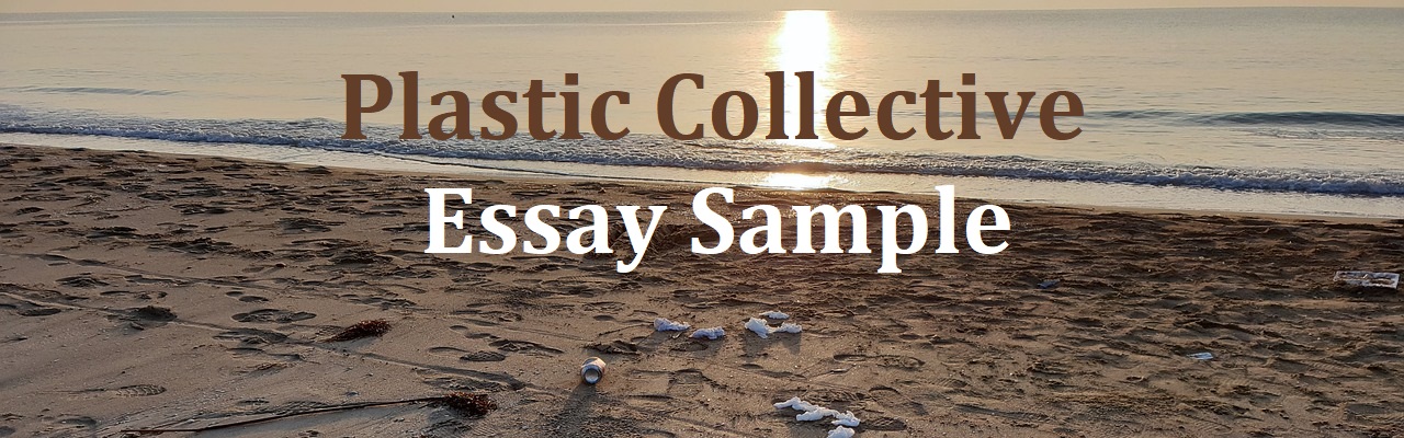 Plastic Collective essay sample